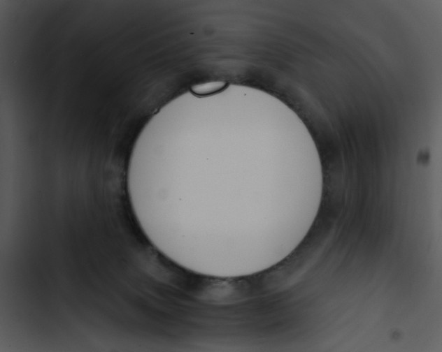 X0000102820083200809081141