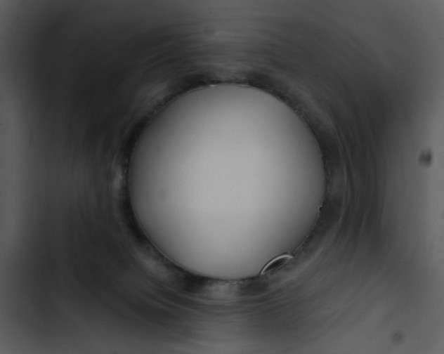 X0000102820084200809081141