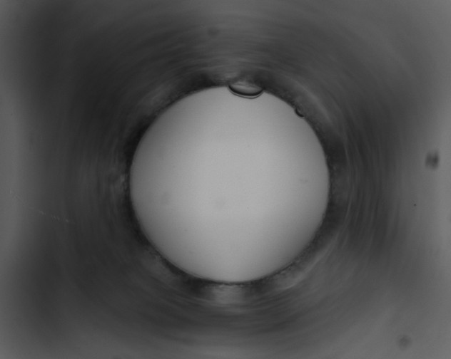 X0000102820085200809081141