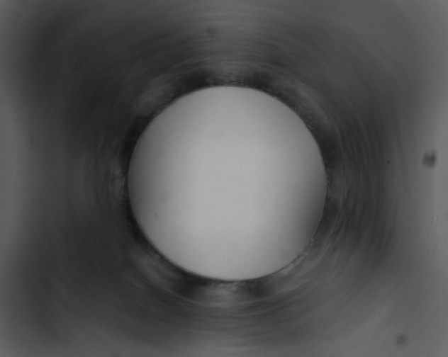 X0000102820086200809081141