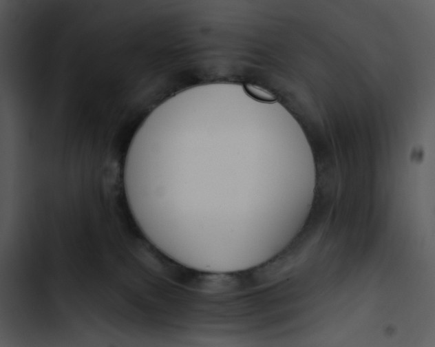 X0000102820087200809081141