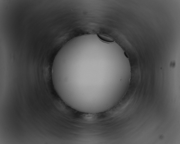 X0000102820088200809081141