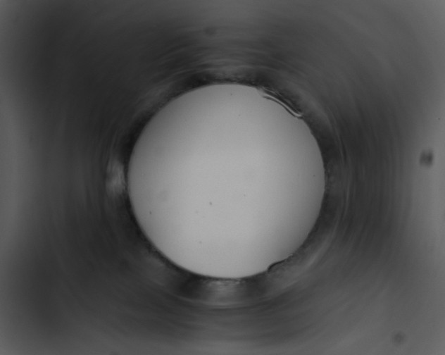 X0000102820089200809081141