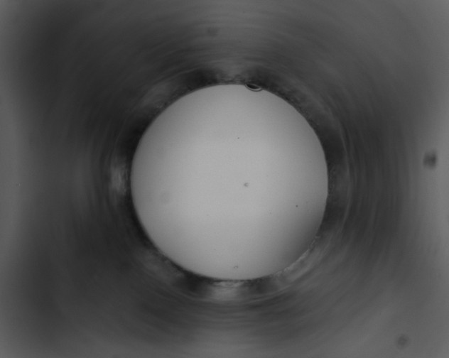 X0000102820090200809081141