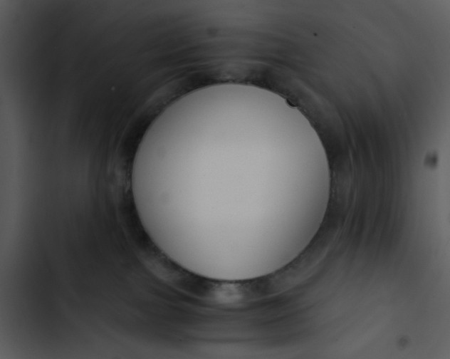 X0000102820091200809081141