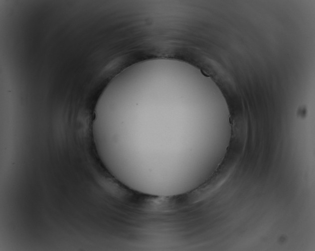 X0000102820092200809081141