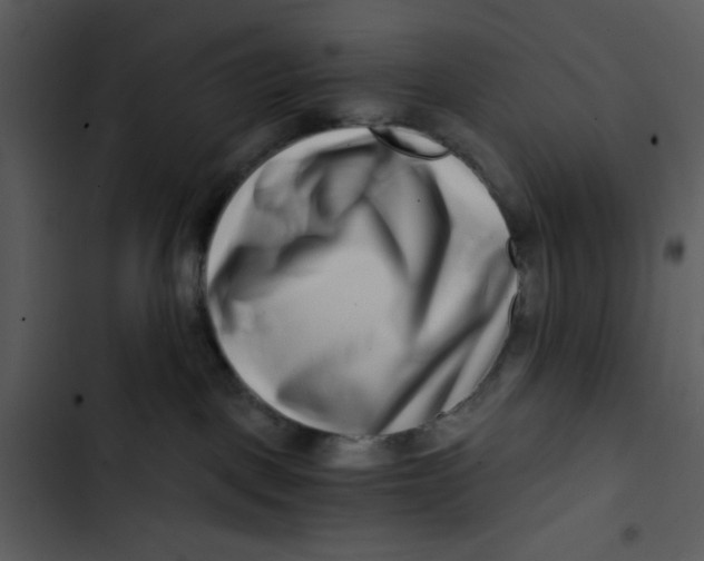 X0000102820093200809081141