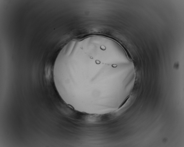 X0000102820094200809081142