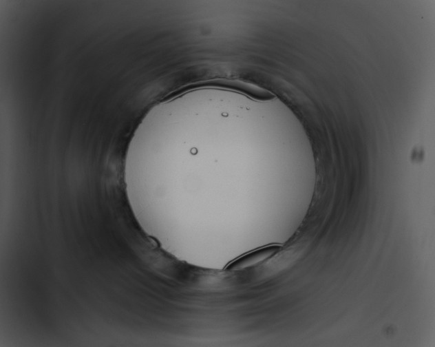 X0000102820096200809081142