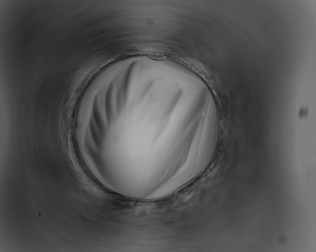 X0000102820097200809081141