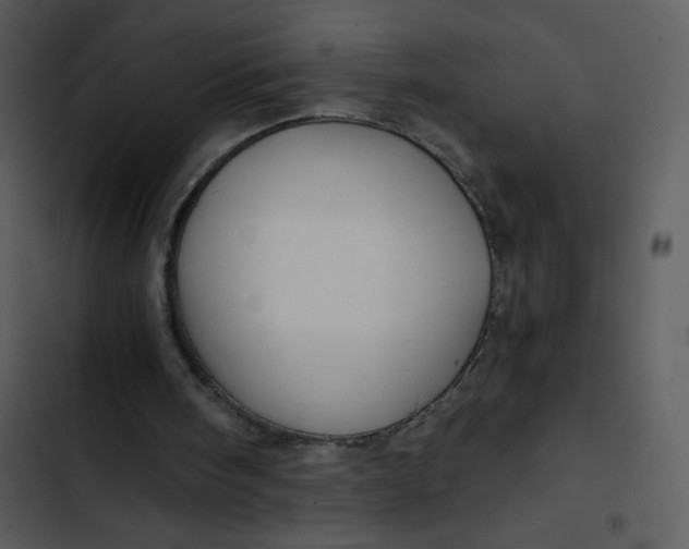 X0000102820098200809081141