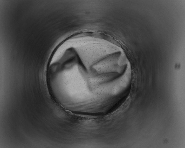 X0000102820100200809081141