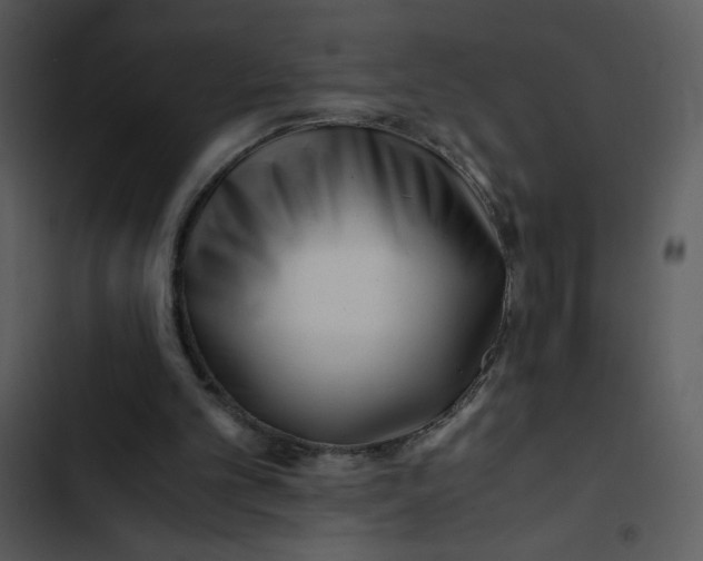 X0000102820101200809081141