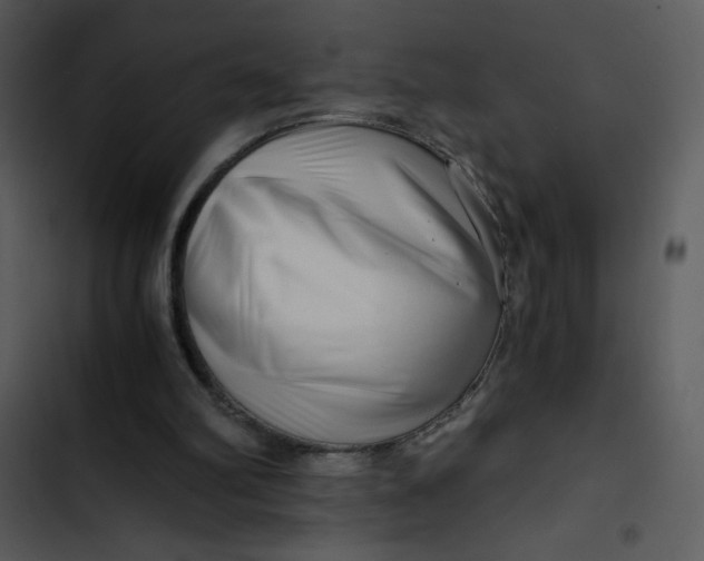 X0000102820102200809081141