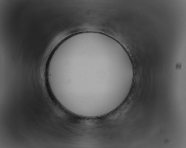 X0000102820103200809081141