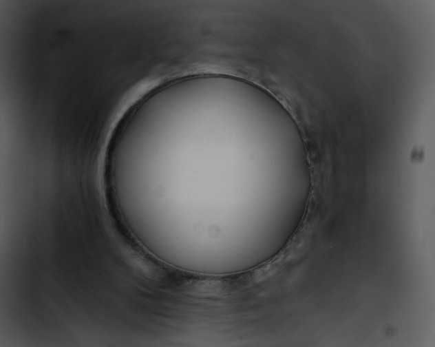 X0000102820104200809081141