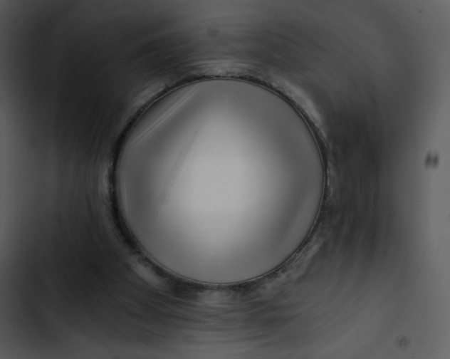 X0000102820105200809081141