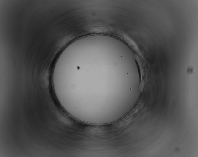 X0000102820106200809081141