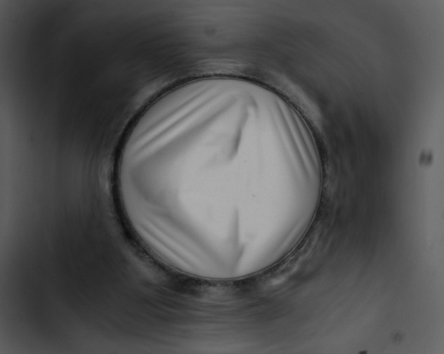 X0000102820107200809081141