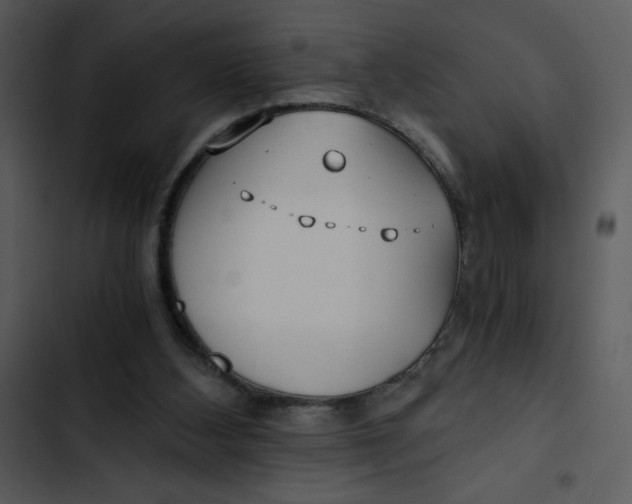 X0000102820108200809081141