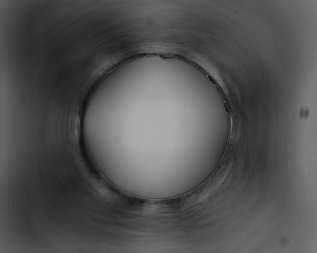 X0000102820109200809081141