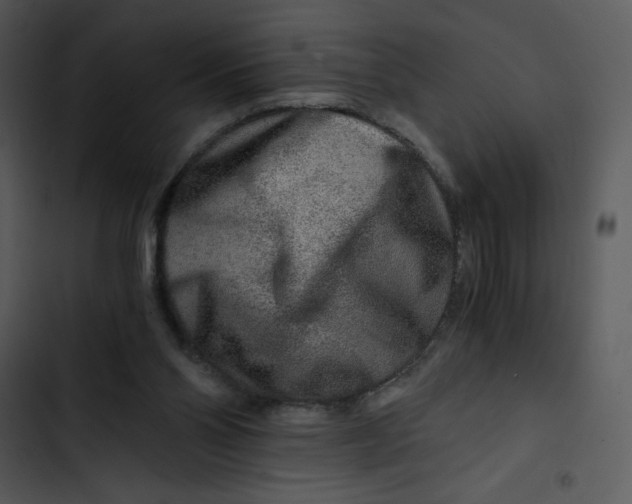 X0000102820110200809081141