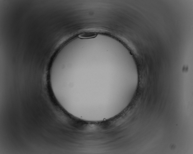 X0000102820111200809081141