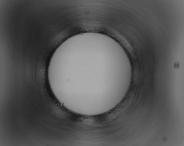 X0000102820113200809081140