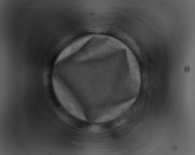 X0000102820114200809081140