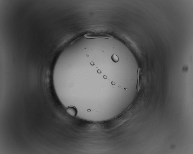 X0000102820115200809081140