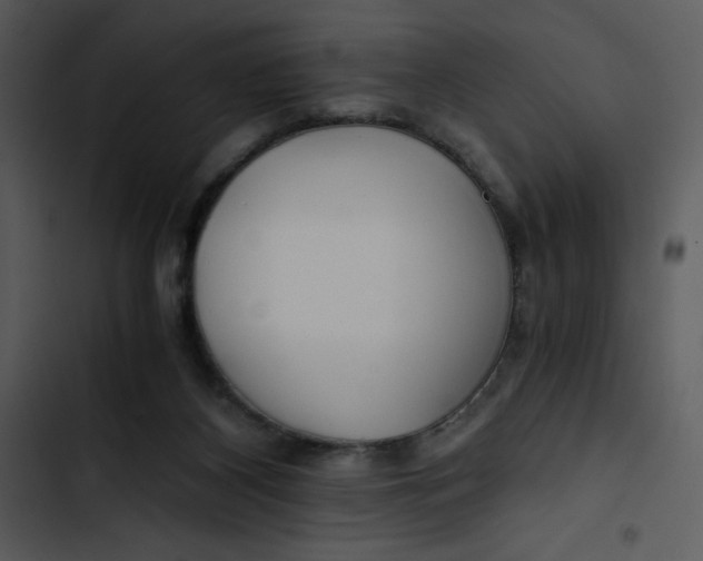 X0000102820116200809081140