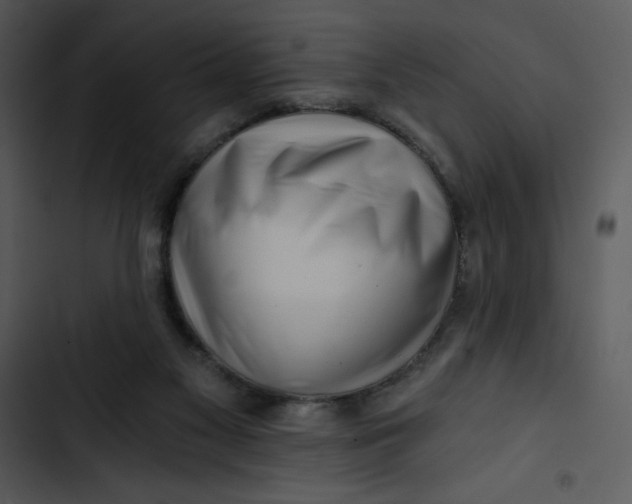 X0000102820117200809081140