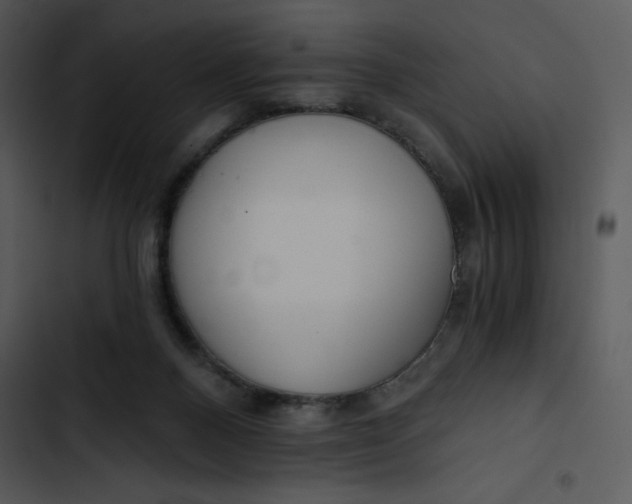 X0000102820120200809081140