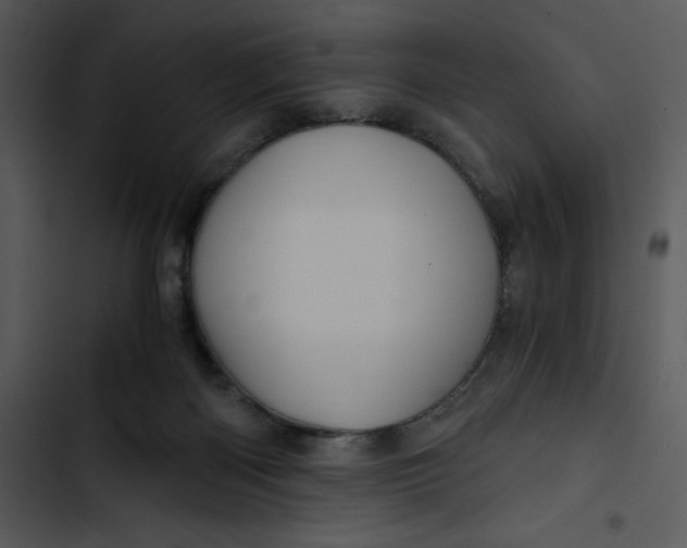 X0000102820122200809081140