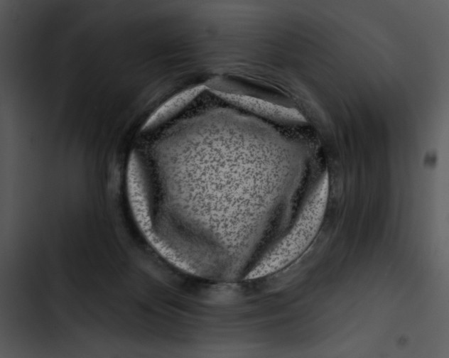 X0000102820124200809081140