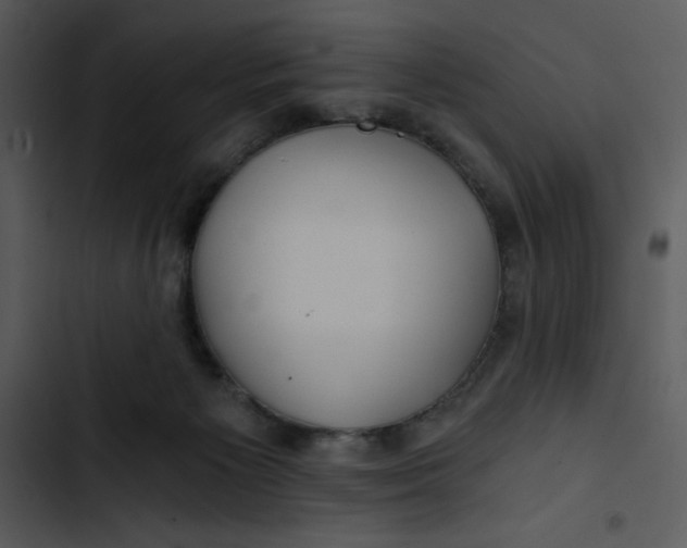 X0000102820125200809081140