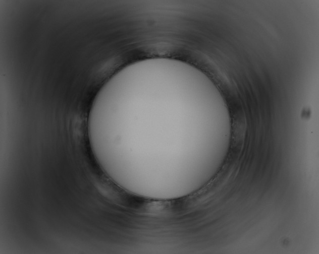 X0000102820126200809081140