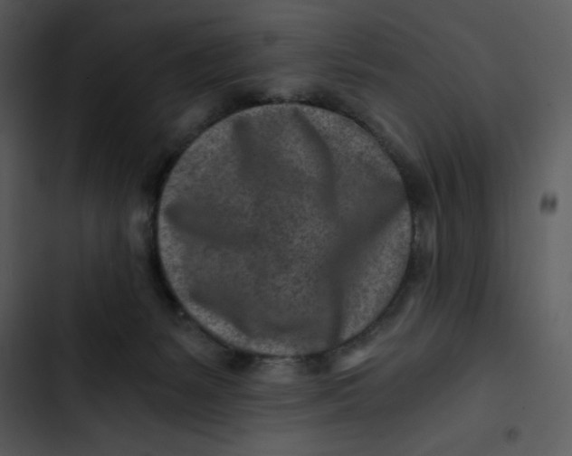 X0000102820127200809081140