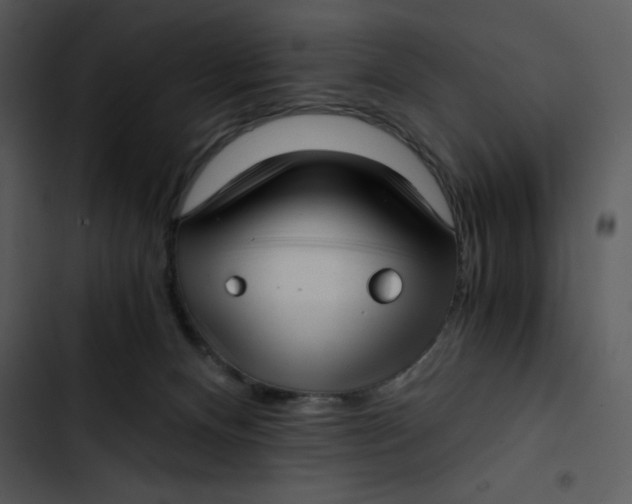 X0000102820128200809081140