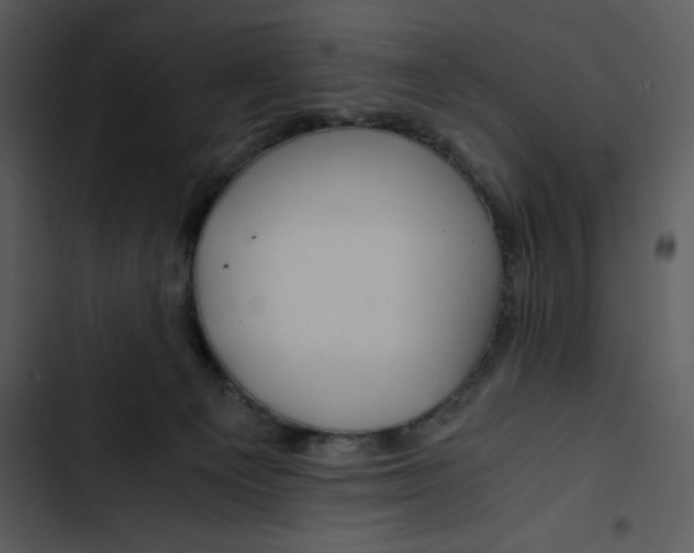 X0000102820129200809081140