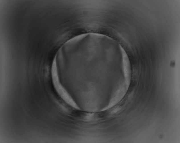 X0000102820130200809081140