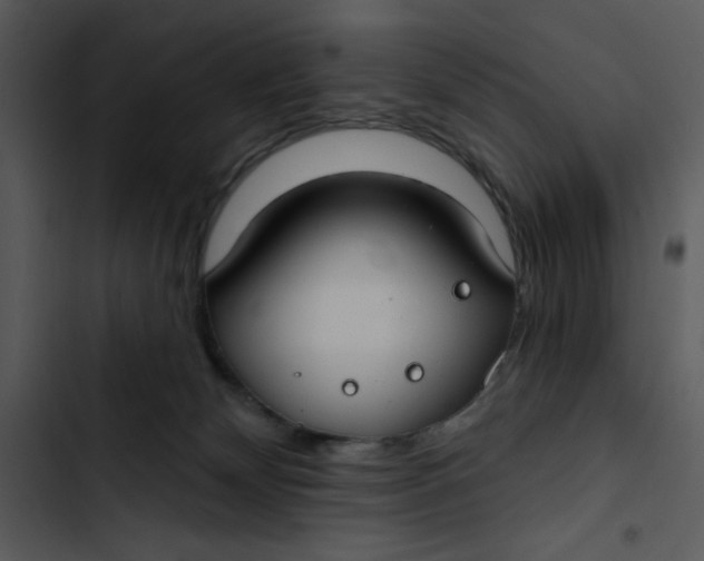 X0000102820132200809081140