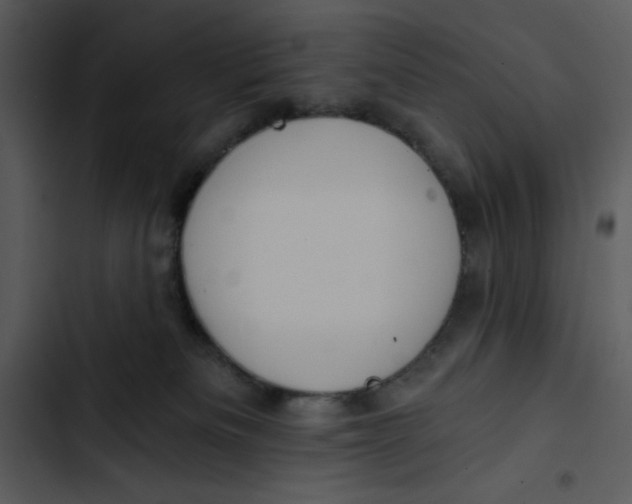 X0000102820133200809081140