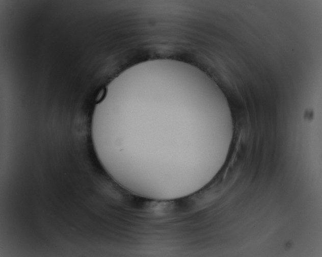 X0000102820135200809081140