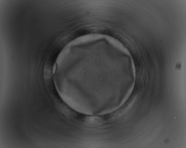 X0000102820137200809081140