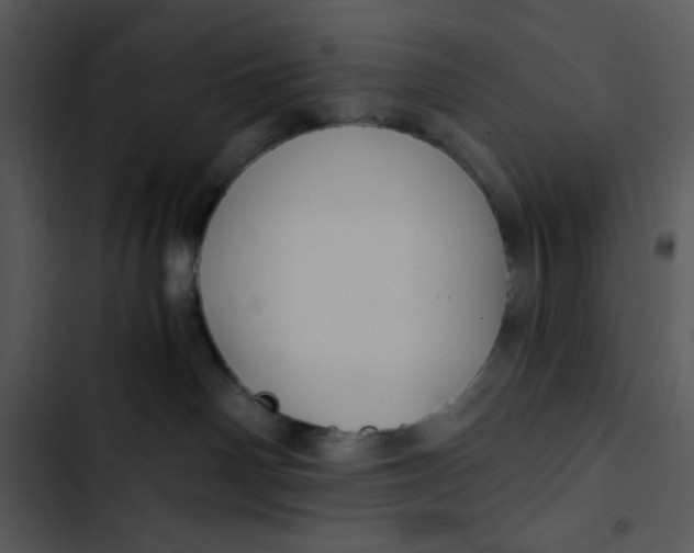 X0000102820142200809081140