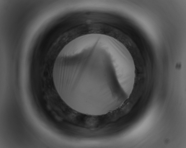 X0000102820143200809081140