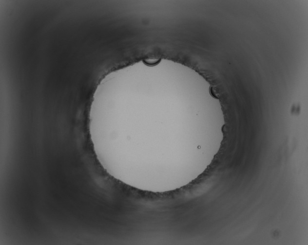 X0000102820144200809081140