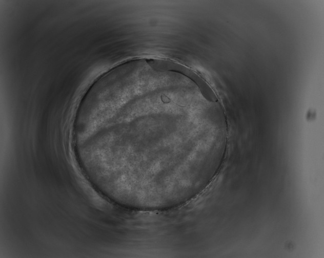 X0000102820145200809081139