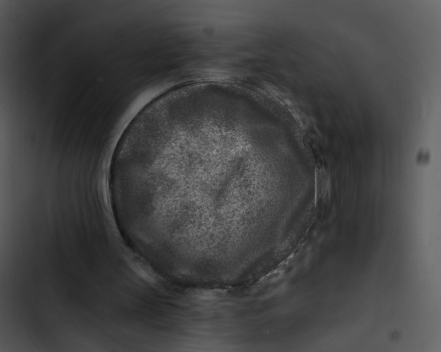 X0000102820147200809081139